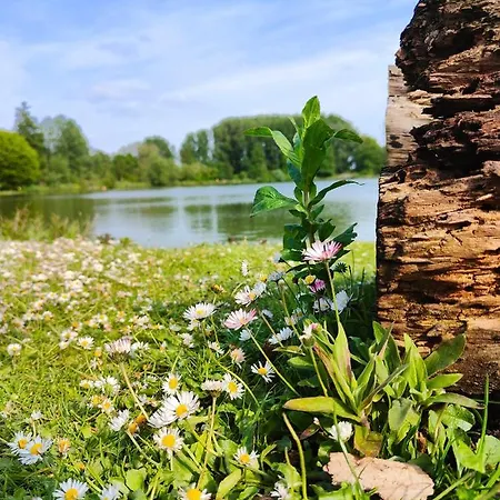 Campsite La « ravane »